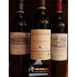 Rượu Vang Pháp CHATEAU ODILON bn1