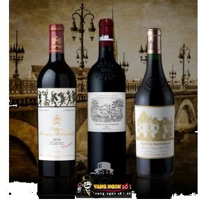 Rượu Vang Pháp CHATEAU ODILON bn3