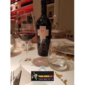 Vang Ý ANTIERI SUSUMANIELLO SALENTO SCHOLA SARMENTI bn1