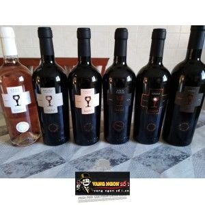 Vang Ý ANTIERI SUSUMANIELLO SALENTO SCHOLA SARMENTI bn2