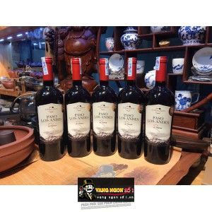 Vang Chile PASO LOS ANDES RESERVA bn1