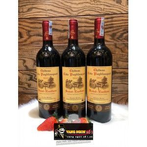 Vang Pháp Château Côte Puyblanquet Grand Cru bn3
