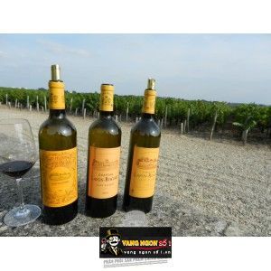 Vang Pháp Chateau Lafon Rochet Saint Estephe 2012 - 2013 bn3
