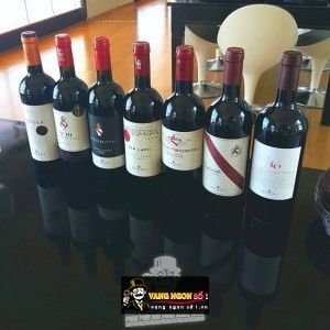 Vang Ý Mazzei Mix 36 Toscana bn3