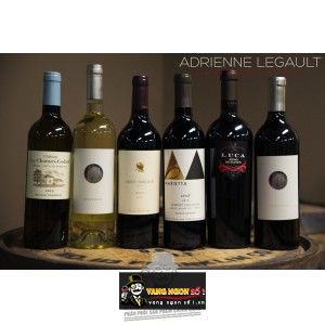 Vang Argentina Luca Beso de Dante Red bn2