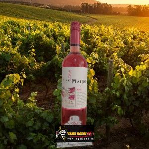 Rượu vang hồng Vina Maipo Mi Pueblo Rose bn1