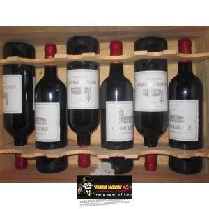 Vang Pháp Chateau Lagrange Saint Julien 2009 bn2