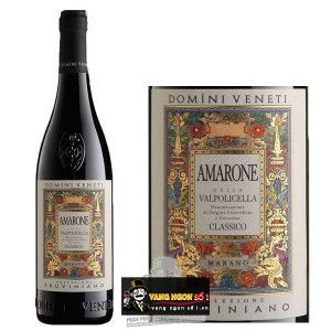 Vang Ý DOMINI VENETI AMARONE VALPOLICELLA CLASSICO