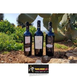 Vang Ý PASSIONE D‘ITALIA SALICE SALENTINO NEGROAMARO RISERVA bn1