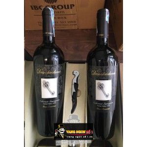 Vang Chile CHÌA KHÓA DESCUBRIDORES GRAN RESERVA bn1