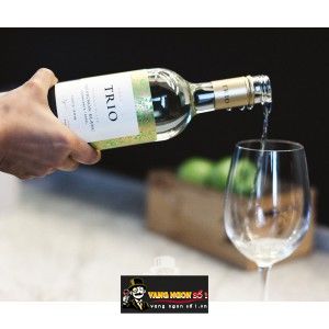 Vang trắng Chile Trio Sauvignon blanc bn2