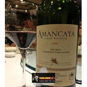 Vang ARGENTINA AMANCAYA RESERVA bn1