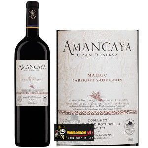 Vang ARGENTINA AMANCAYA RESERVA bn2