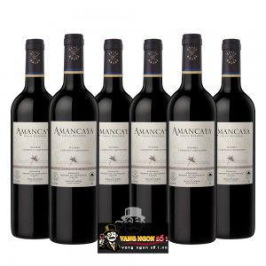 Vang ARGENTINA AMANCAYA RESERVA bn3