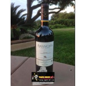 Vang ARGENTINA AMANCAYA RESERVA bn4