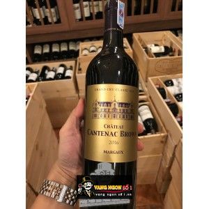 Vang Pháp BRIO DE CANTENAC BROWN MARGAUX bn4