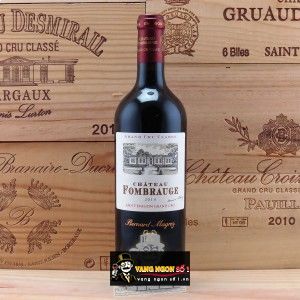 Vang Pháp CHATEAU FOMBRAUGE GRAND CRU CLASSE bn1