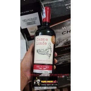 Vang Chile CAMPO LINDO SELECTED CỰC NGON bn1