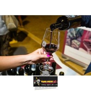 Vang Ý P Primitivo Agricola Erario bn1