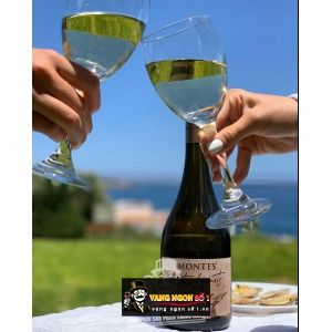 Vang Chile MONTES OUTER LIMITS RED WINE bn2