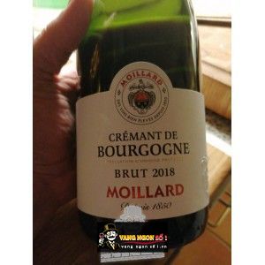 Vang Pháp MOILLARD BOURGOGNE PINOT NOIR bn1