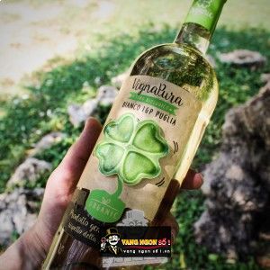 Rượu Vang Ý VIGNAPURA BIANCO IGP PUGLIA bn2
