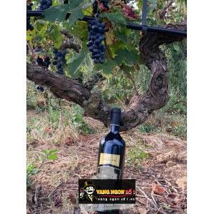 Rượu Vang Pháp 16,5 ĐỘ AUTHENTIQUE VEZIAN bn2