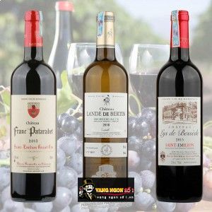 Vang Pháp CHATEAU LANDE DE BERTIN BORDEAUX ĐỎ - TRẮNG bn1