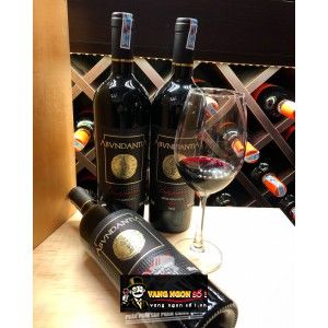 Rượu Vang Ý 16 ĐỘ ABVNDANTIA NEGROAMARO PUGLIA bn1