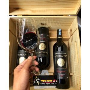 Rượu Vang Ý 16 ĐỘ ABVNDANTIA NEGROAMARO PUGLIA bn2