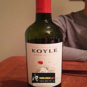 Vang Chile KOYLE GRAN RESERVA CABERNET SAUVIGNON bn3