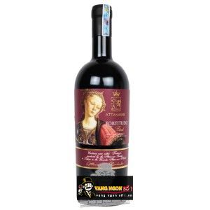 Vang Ý FORTITUDO ATTANASIO BLEND