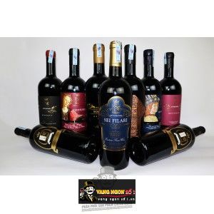 Vang Ý FORTITUDO ATTANASIO BLEND bn3