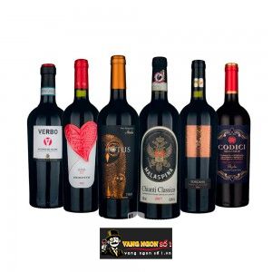 Vang Ý Amami Negroamaro Puglia Cao cấp bn2