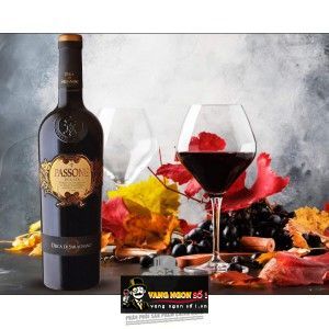 Vang Ý Passone Duca di Saragnano Primitivo Puglia Cao cấp bn1