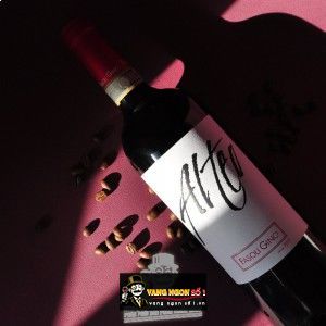 Vang Ý Alteo Amarone Fasoli Gino Amadio DOC Hảo hạng bn2