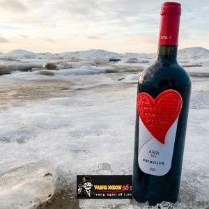 Vang Ý Amami Primitivo Puglia Cao cấp bn3