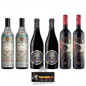 Vang Ý Appassimento Rosso Puglia IGT Botter Cao cấp bn2