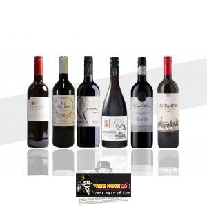 Vang Ý Pemo Montepulciano d Abruzzo bn3