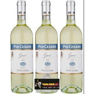 Vang Ý Pio Cesare Gavi Thượng hạng bn1