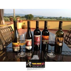 Vang Ý Pean Bolgheri Batzella Thượng hạng bn3