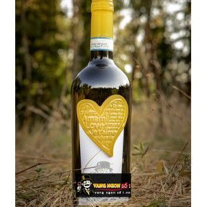 Vang Ý Amami Montepulciano Abruzzo Cao cấp bn2