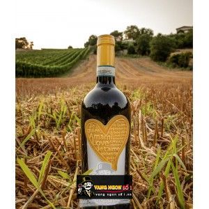 Vang Ý Amami Montepulciano Abruzzo Cao cấp bn3