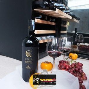 Vang Ý Cupid Negroamaro Primitivo Salento Cao cấp bn1