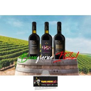 Vang Ý Batisteo Primitivo di Manduria Riserva Feudoro Hảo hạng bn1