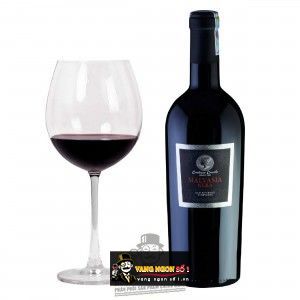 Vang Ý Malvasia Nera IGT Puglia Contessa Carola