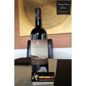 Vang Ý Il Bruciato Bolgheri Marchesi Antinori bn3