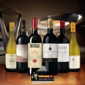 Vang Ý Il Bruciato Bolgheri Marchesi Antinori bn4