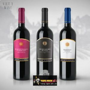 Vang Ý Primitivo Puglia Monteverdi 14,5% Cao cấp bn4