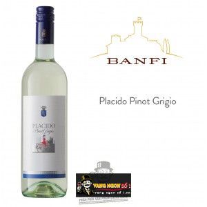 Vang Ý Placido Pinot Grigio Banfi Thượng hạng bn1